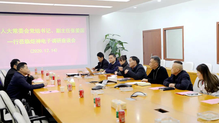 郴州市人大常委會黨組書記、副主任張愛國到炬神電子調(diào)研安全生產(chǎn)工作